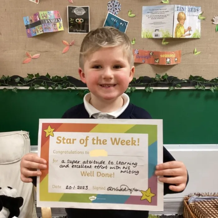 Stars of the week (4)