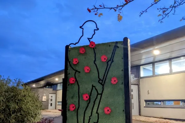 meadowfield poppies