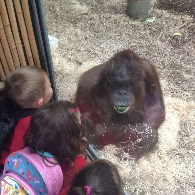 Blackpool Zoo 1