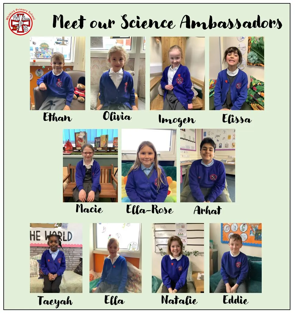 Meadowfield Primary School - Red Kite Learning Trust - Our Science ...